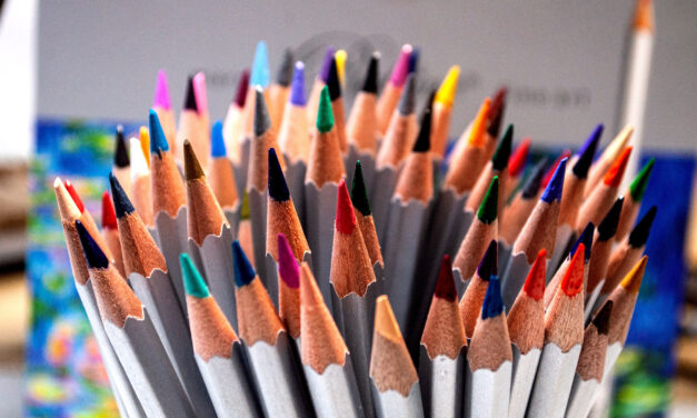 A Colorful Journey: How to Choose Coloring Pencils When Going Back to School
